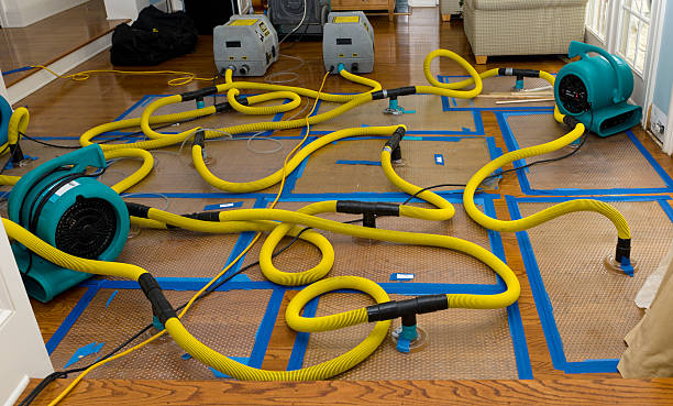 Professional Structural Drying And Dehumidification technician working in Middletown, RI